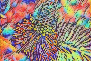 Elzart8